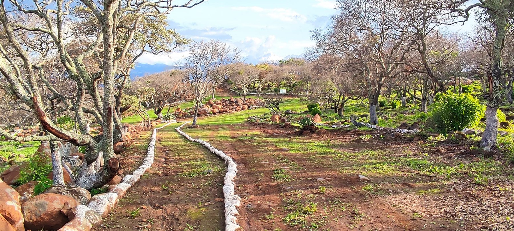 Paisaje natural y caminos del desarrollo Cielo Nuevo Club Campestre